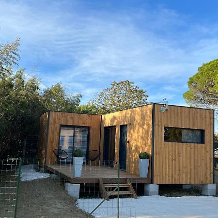 Chalet Contemporain Montauban Extérieur photo